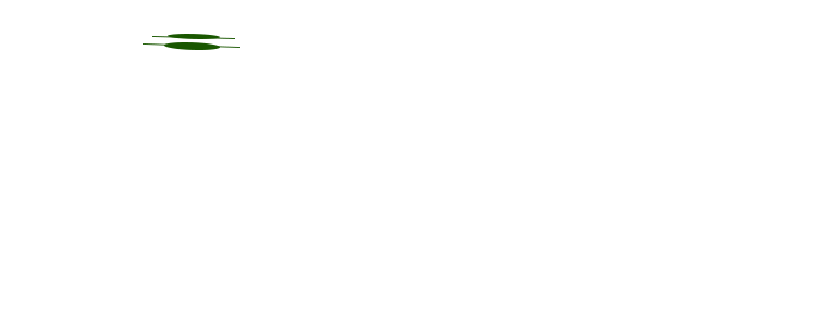 CeyhanKebapEvi-Logo-1